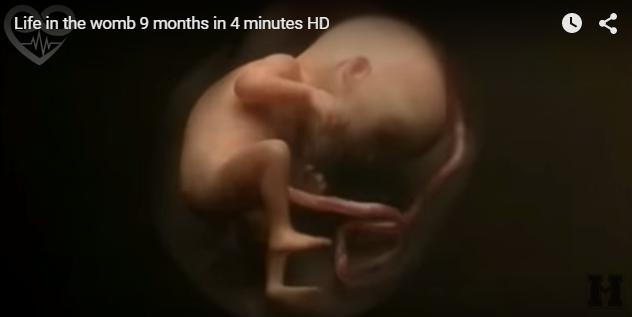 Oplev 9 måneder i maven på 4 minutter (Video)